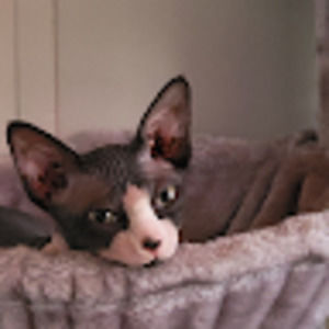 Meet your Posher, Christyne